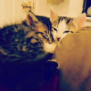 Meet your Posher, Ana